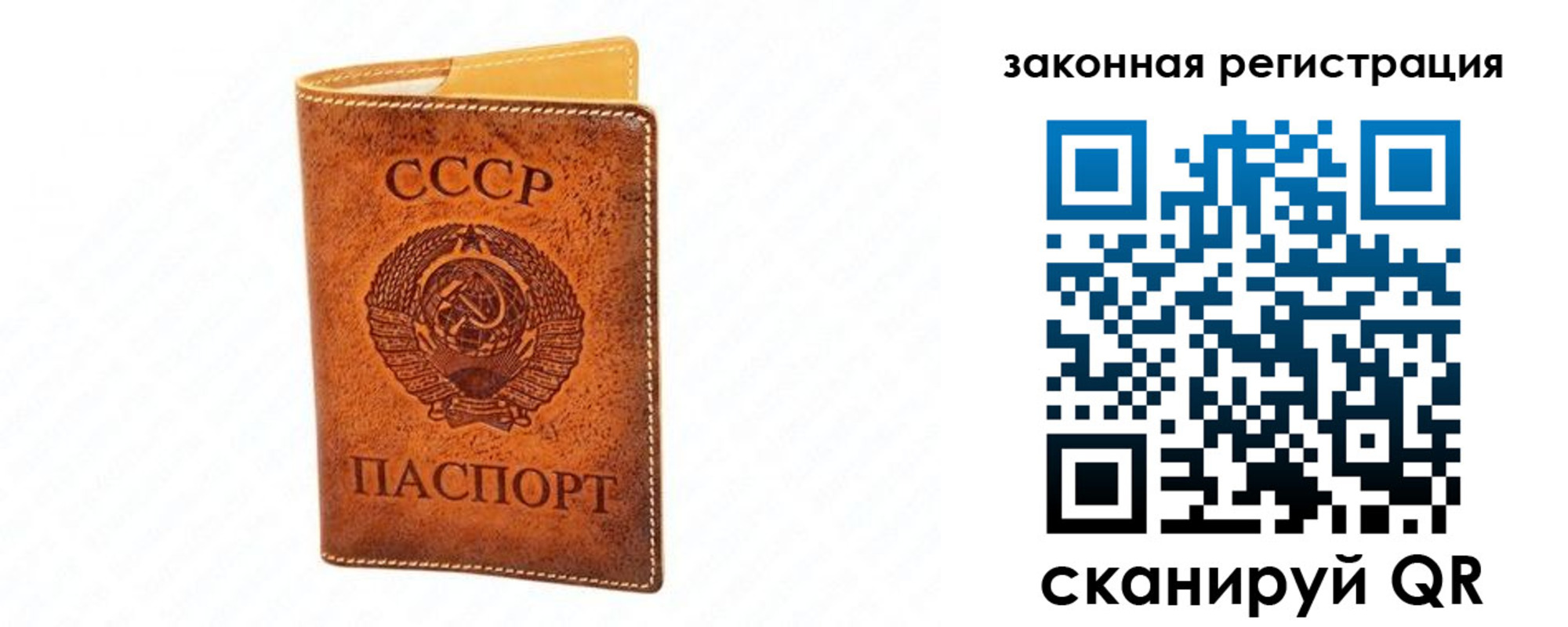 временная регистрация госуслуги в Светлогорске