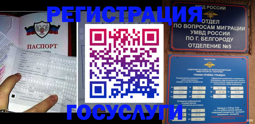 временная регистрация в квартире в Светлогорске